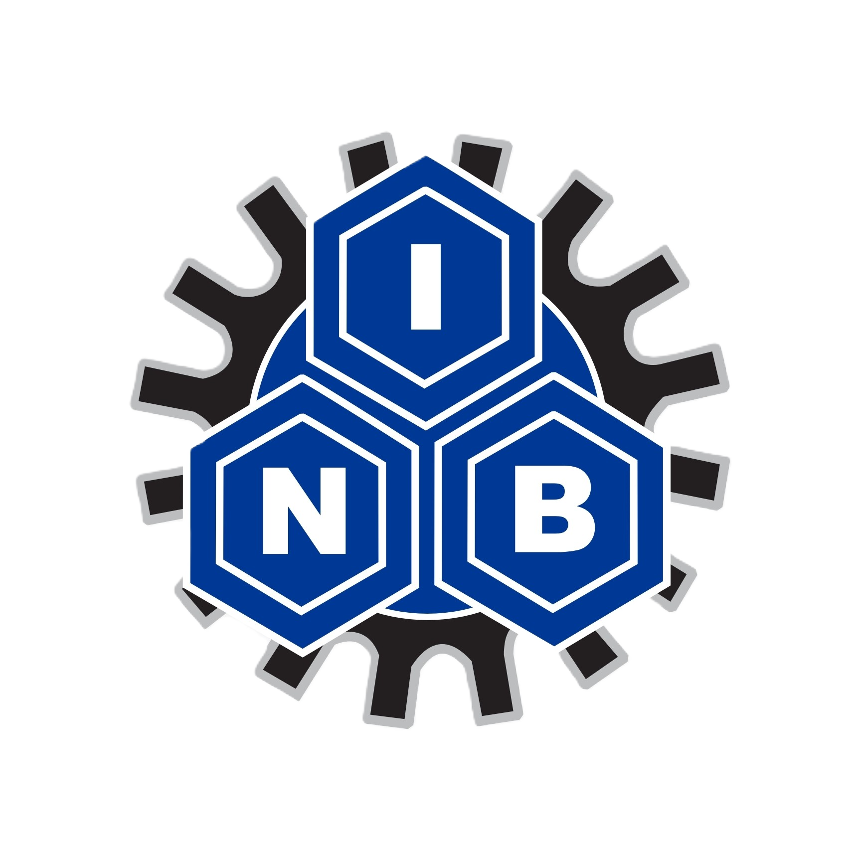 NIB PLC Logo